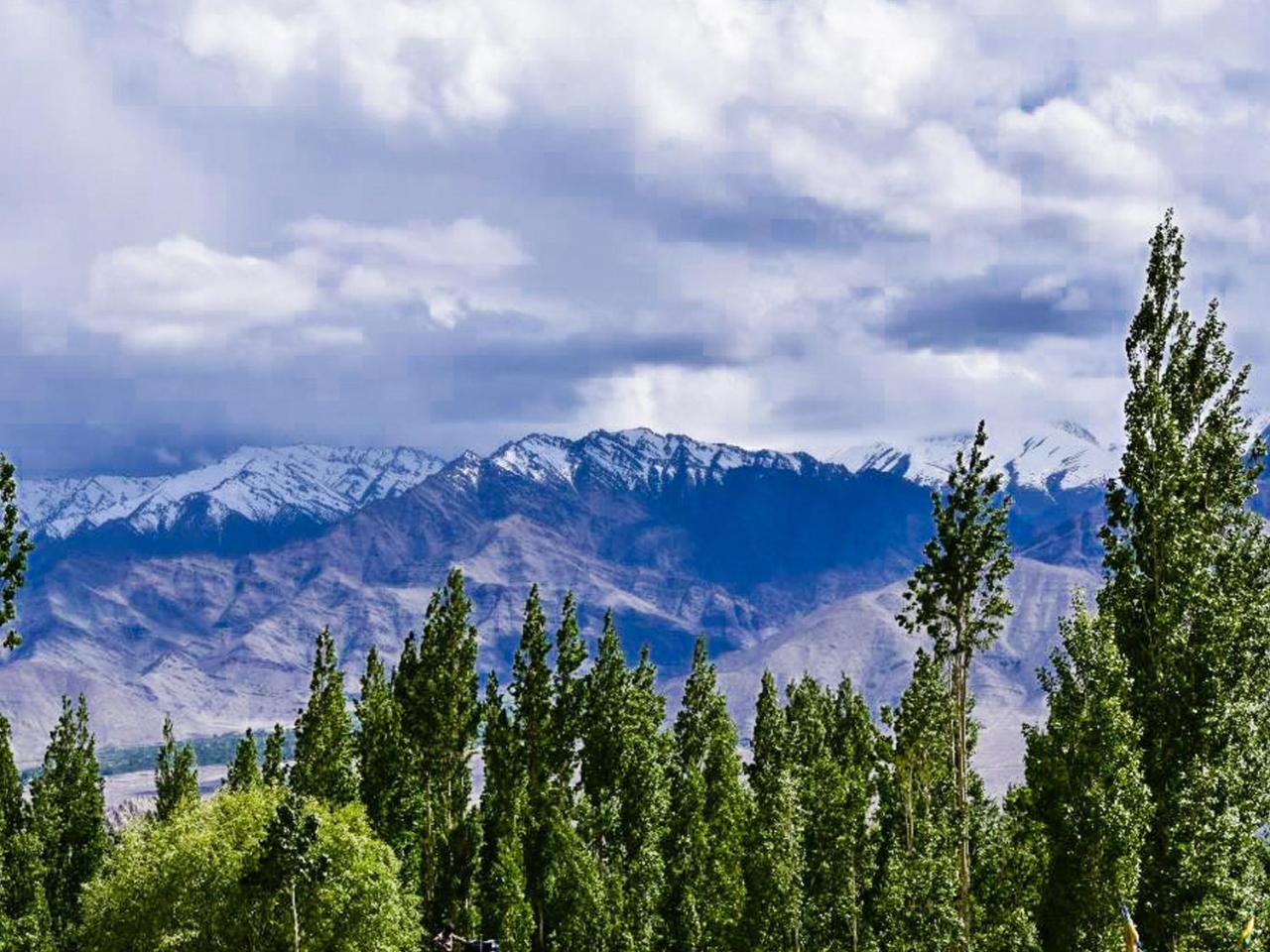 Hotel City Palace Leh Luaran gambar