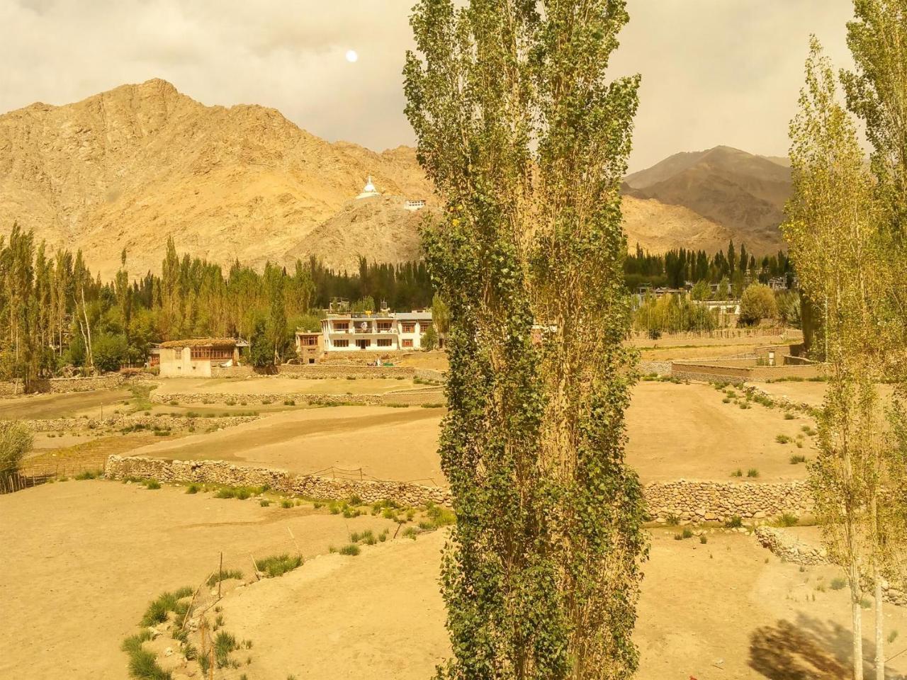 Hotel City Palace Leh Luaran gambar